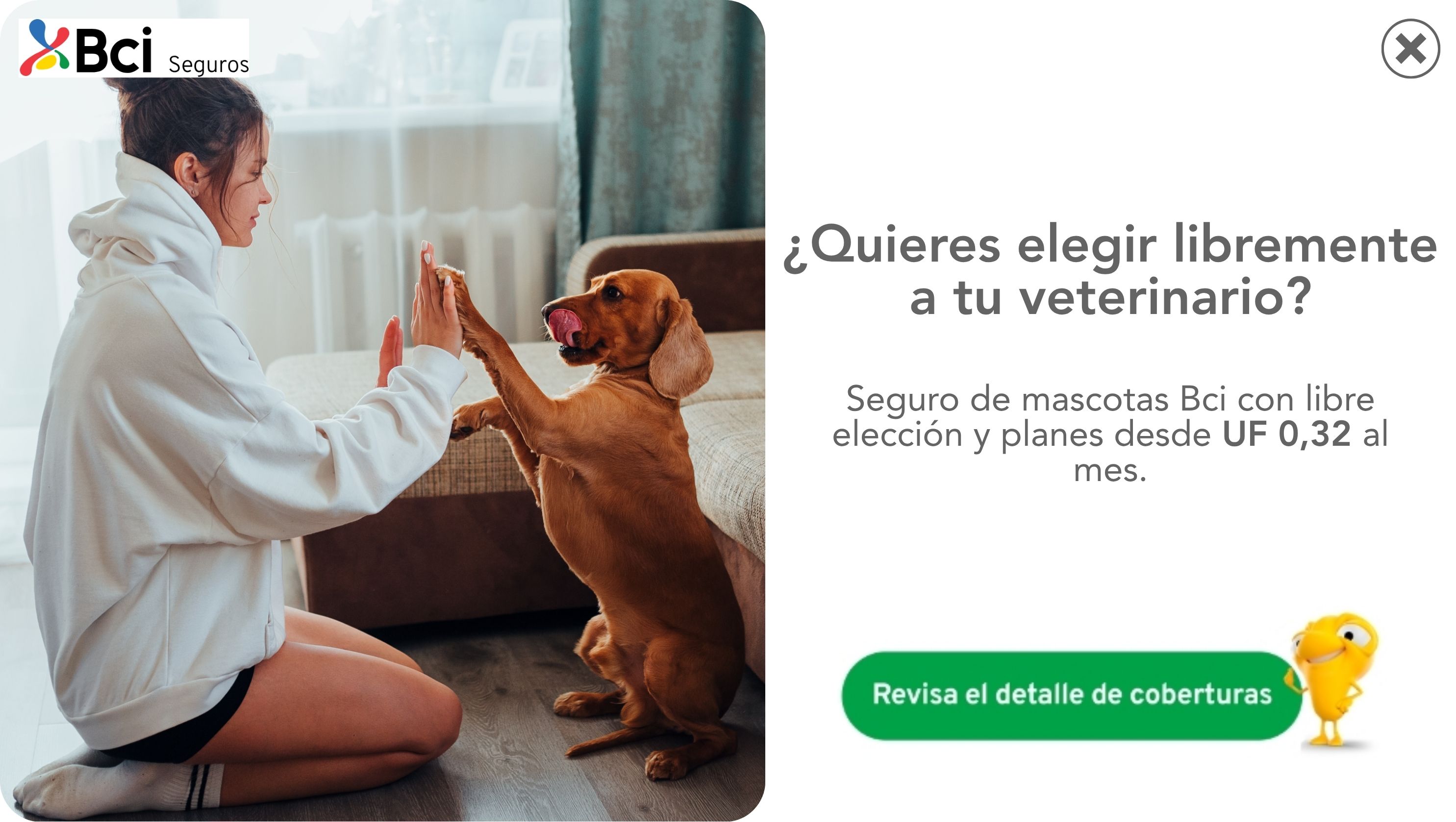 BCI Seguros – Seguro de mascotas con libre elección